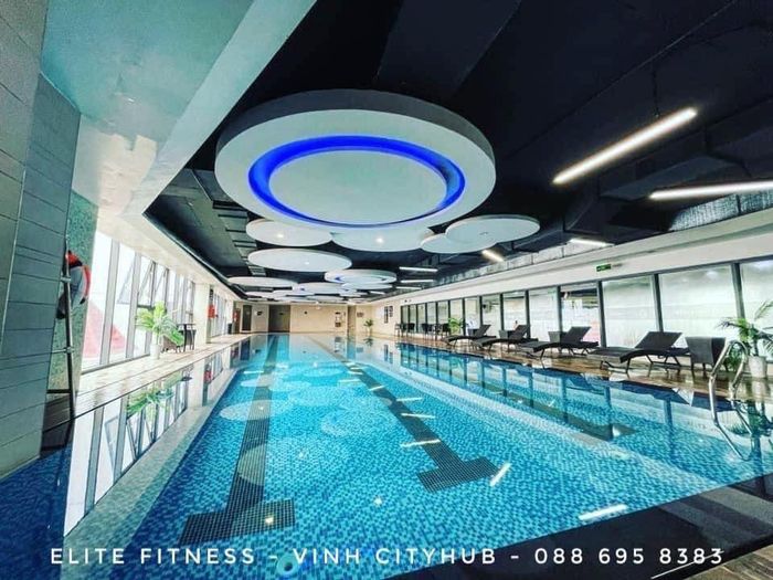 Hình ảnh cơ sở vật chất hiện đại tại Elite Fitness
