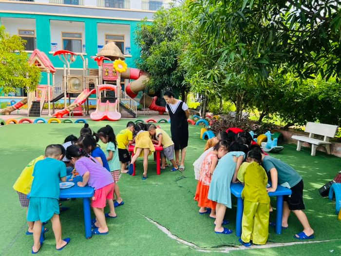Hình ảnh Trường Mầm non Việt Úc - Không gian xanh mát