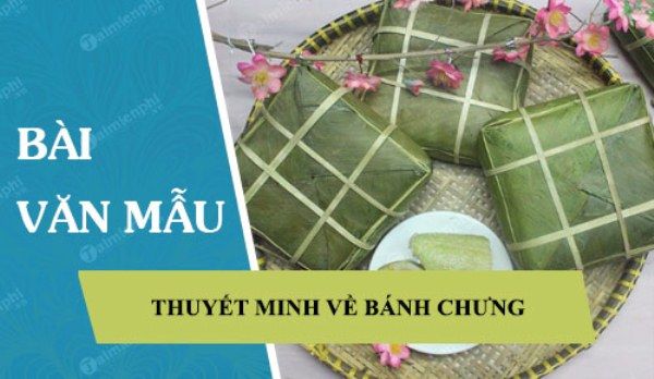 Hình ảnh minh họa sống động (Nguồn: internet)