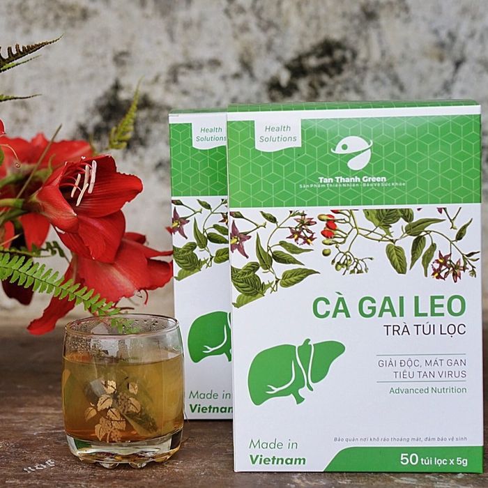 Hình ảnh trà túi lọc Cà Gai Leo Tân Thành Green - phiên bản cao cấp