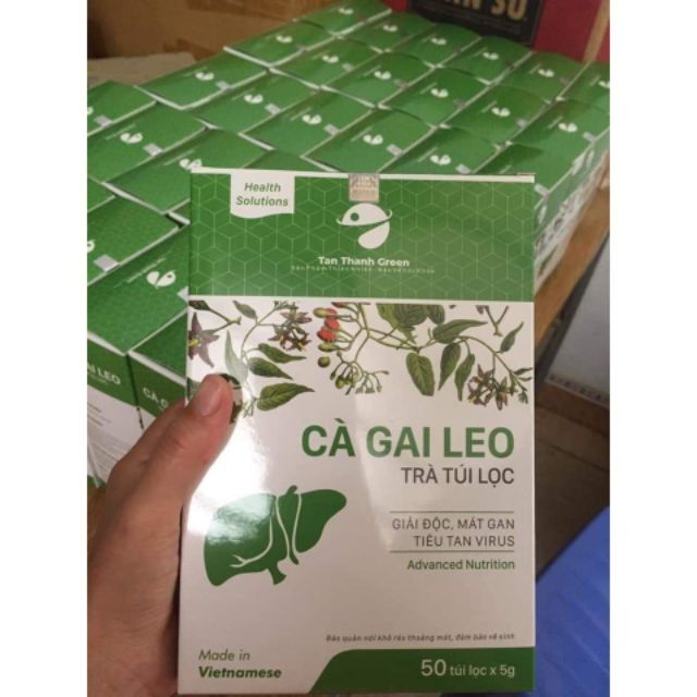 Hình ảnh trà túi lọc Cà Gai Leo Tân Thành Green