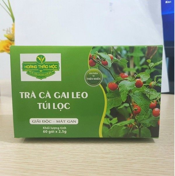 Hình ảnh trà túi lọc Cà Gai Leo Hoàng Thảo Mộc - đẳng cấp thương hiệu Top 5