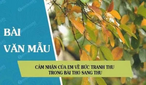 Ảnh minh họa (Nguồn internet) ảnh 1