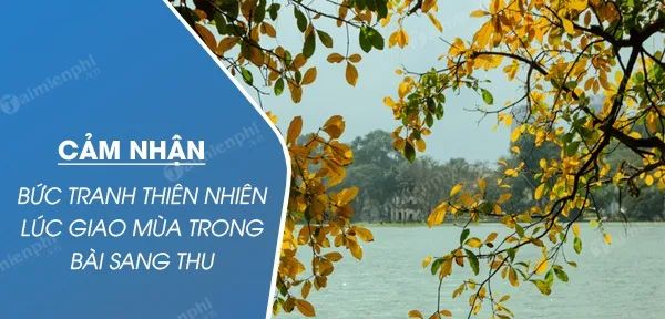 Ảnh minh họa (Nguồn internet) ảnh 1