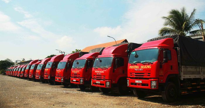 Hình ảnh hệ thống kho bãi hiện đại tại Vận Tải Phượng Hoàng