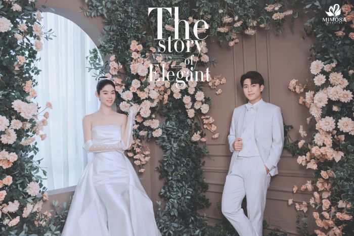 Mimosa Wedding Studio - Lựa Chọn Lý Tưởng Cho Bộ Ảnh Cưới Hàn Quốc Tại Hà Nội