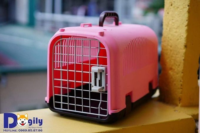 Hình ảnh Dogily Petshop - Không gian chăm sóc thú cưng đẳng cấp