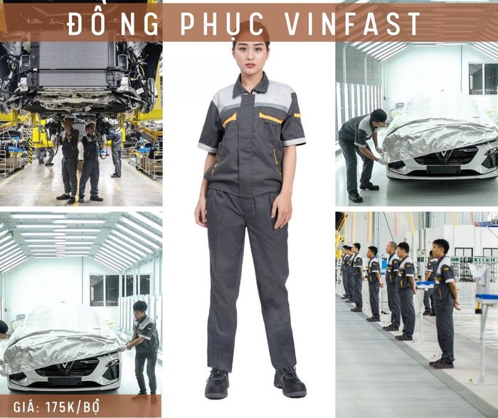 Hình ảnh Bảo Hộ Lao Động Trường An 2