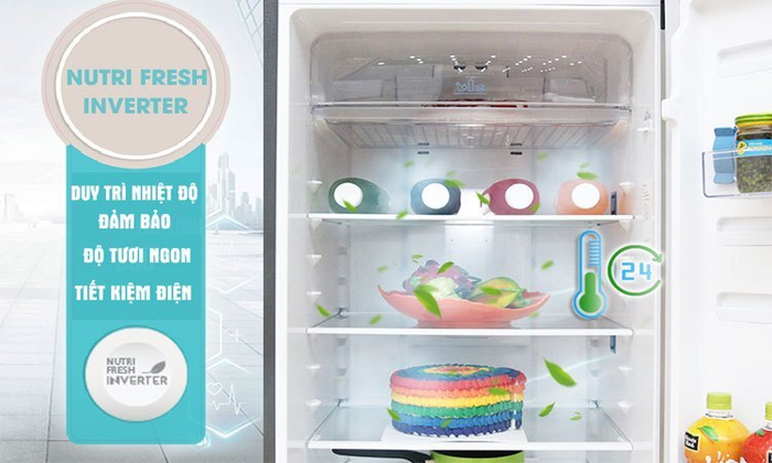 Tủ lạnh  SBS 492L Electrolux ESE5301AG