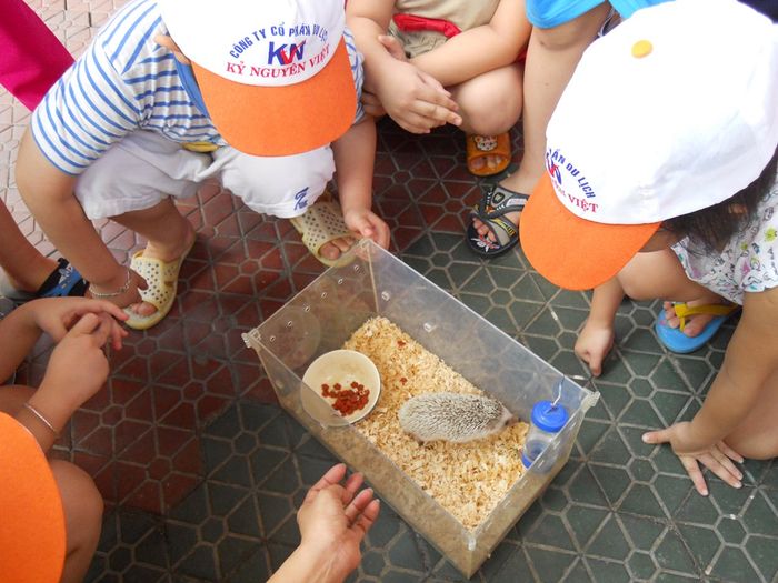 Góc học tập sáng tạo của các bé tại Trường Mầm non 27