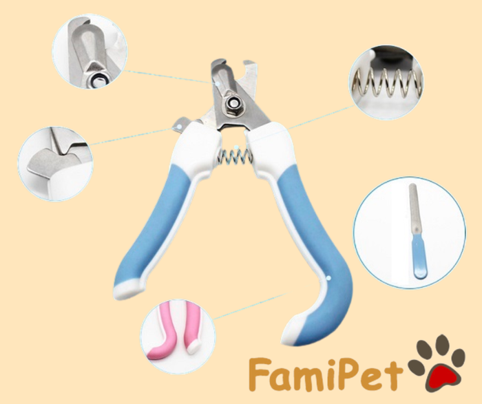 Không gian FamiPet - Đẳng cấp chăm sóc thú cưng