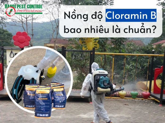 Hình ảnh hoạt động phun khử trùng của Hanoi Pest Control