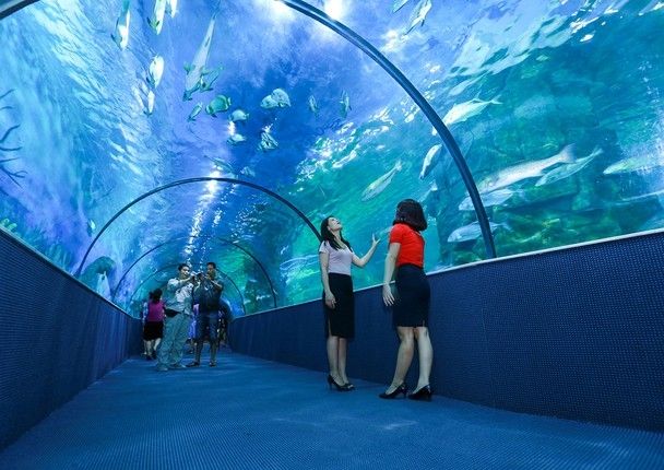 Hình ảnh tuyệt đẹp về khu nhạc nước Vincom Mega Mall Times City