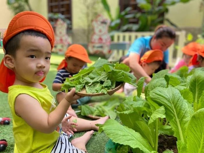 Trường Mầm non Bé Gấu - Ảnh 2