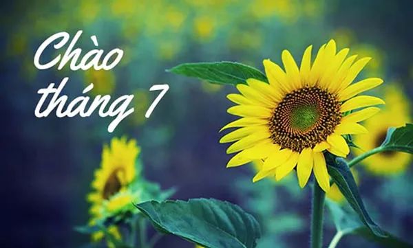 Chân dung minh họa (Nguồn internet) - Ảnh 1