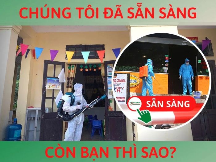 Hình ảnh minh họa dịch vụ của Công ty Kiểm Soát Côn Trùng Hà Nội