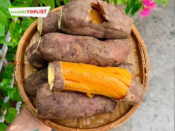 khoai-bao-dia-chi-vang-cho-khoai-lang-mat-da-lat-Mytour
