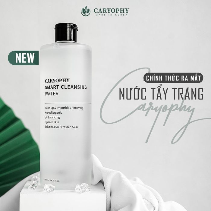Nước Tẩy Trang Caryophy Smart Cleansing Water Hình Ảnh 1