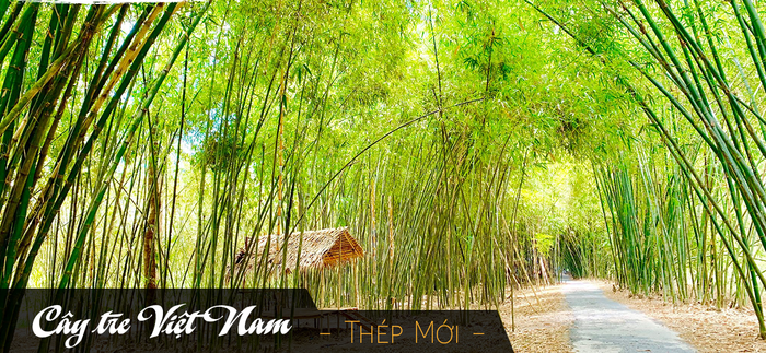 Hình ảnh minh họa đậm chất dân tộc (Nguồn: Sưu tầm) ảnh 1