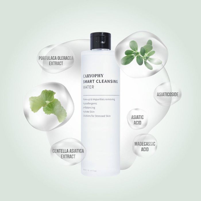 Nước Tẩy Trang Caryophy Smart Cleansing Water Hình Ảnh 2
