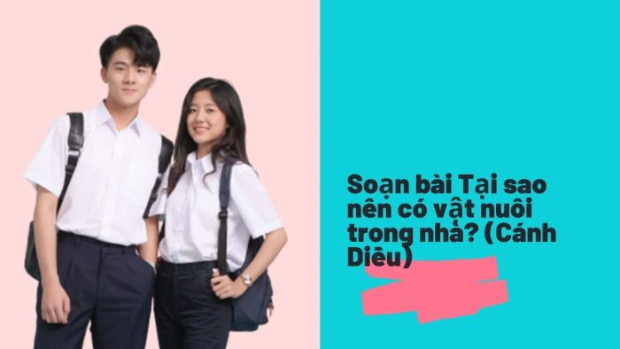 Bộ sưu tập hình ảnh minh họa đặc sắc (Nguồn: Internet) - Ảnh 1