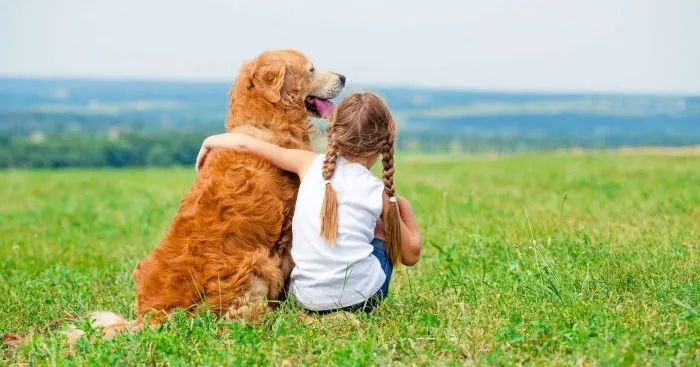 Bộ sưu tập hình ảnh minh họa sống động về thú cưng (Nguồn: Internet) - Ảnh 1
