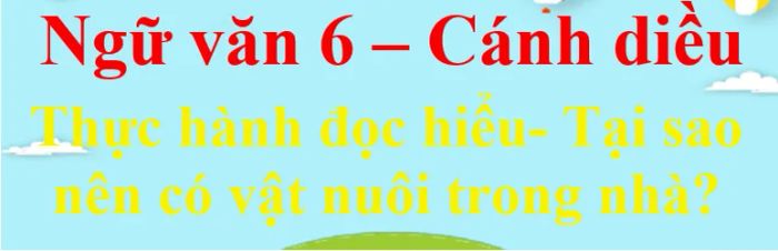 Tuyển tập hình ảnh minh họa sống động (Nguồn: Internet) - Ảnh 1
