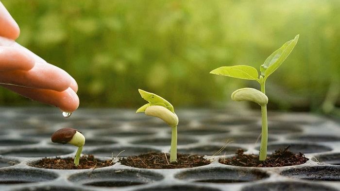 Tranh minh họa số 1 - Nguồn từ kho dữ liệu trực tuyến