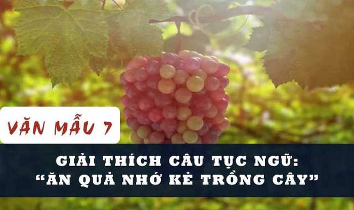Hình ảnh minh họa số 1 - Nguồn từ kho tư liệu mở Internet