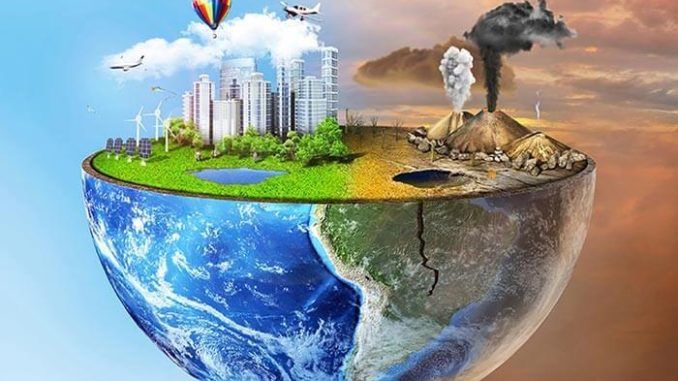 Hình ảnh minh họa ý nghĩa về công tác bảo tồn động vật (Nguồn: Internet)