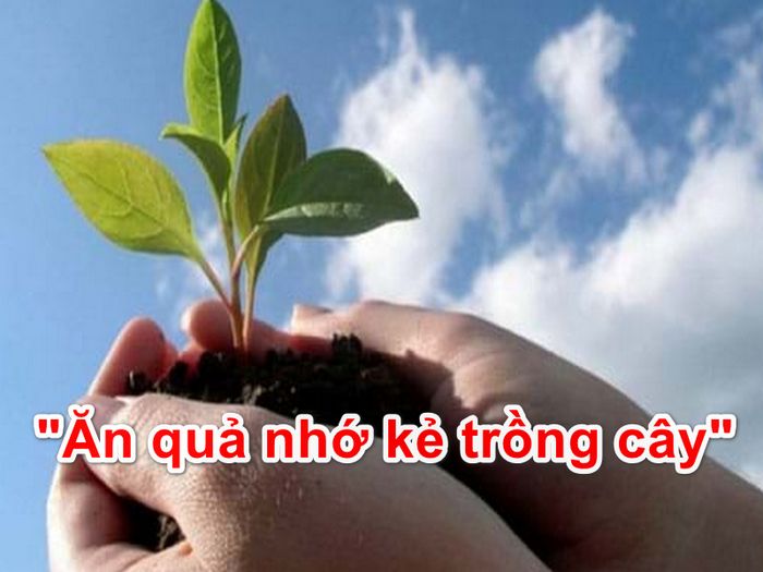 Hình ảnh minh họa sinh động (Nguồn: internet)