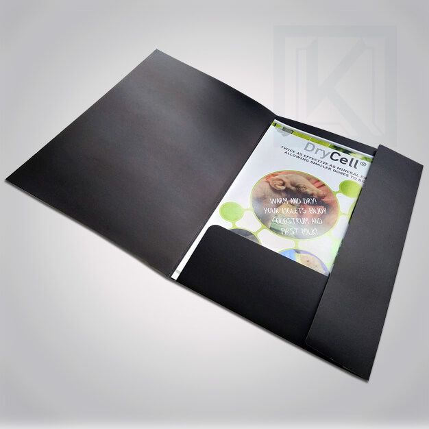 Bộ sưu tập kẹp file đa dạng từ IN BẮC VIỆT