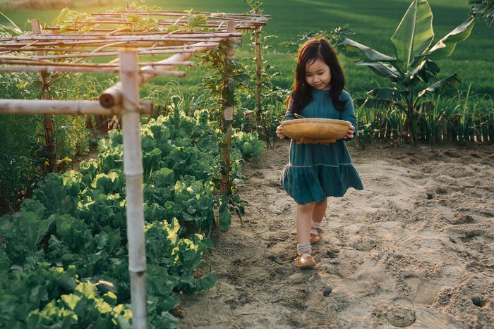 Ảnh mẫu 3 - May Studio: Nét đẹp tự nhiên
