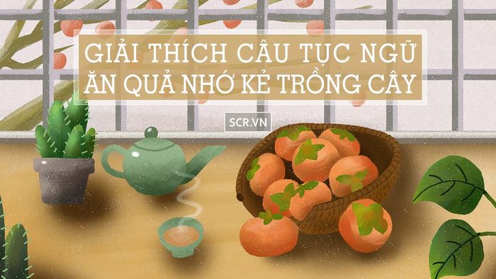 Ảnh minh họa số 1 - Nguồn tư liệu Internet phong phú