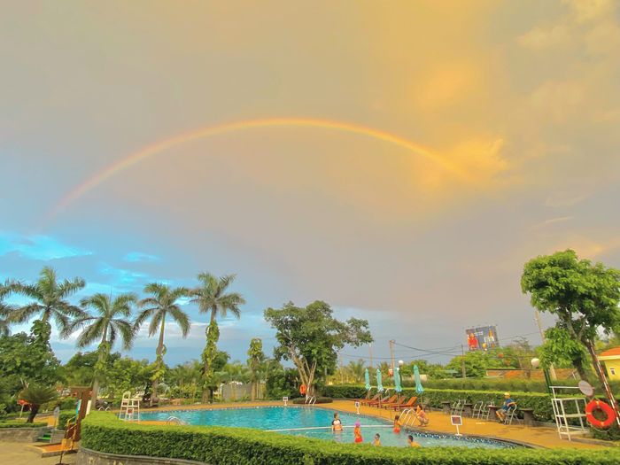 Hình ảnh bể bơi sang trọng tại Mường Thanh Holiday
