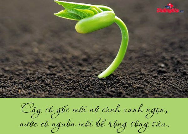 Hình ảnh minh họa sống động (Nguồn: internet)