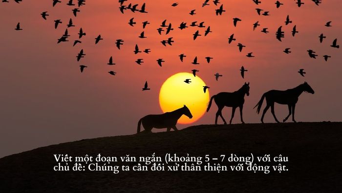 Hình ảnh minh họa sống động về tình bạn giữa người và động vật (Nguồn: Internet)