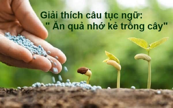 Hình ảnh minh họa số 1 - Nguồn tư liệu đa dạng từ Internet