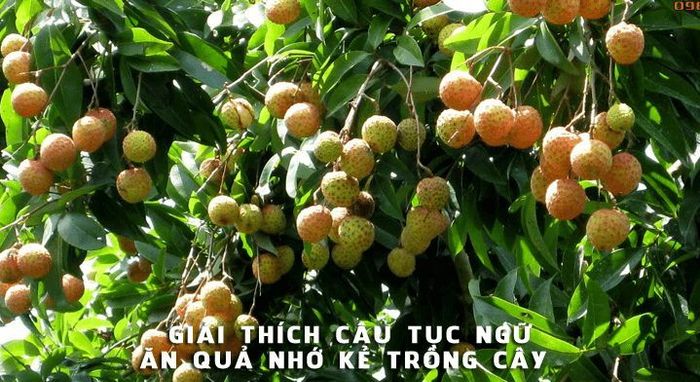 Hình ảnh minh họa số 1 - Nguồn tư liệu Internet phong phú