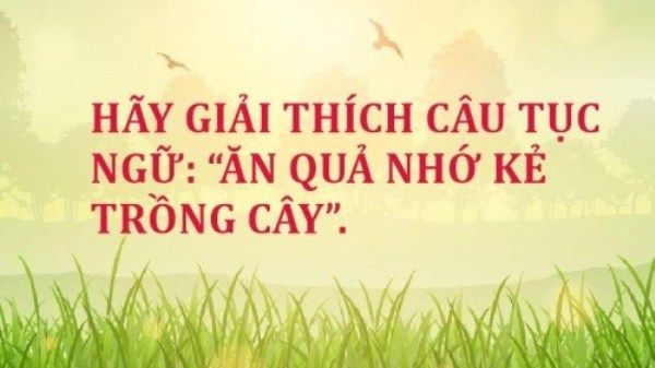 Hình ảnh minh họa số 1 - Nguồn tư liệu đa dạng từ Internet