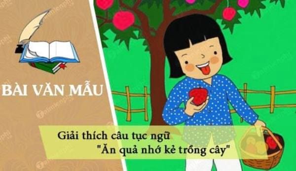 Hình ảnh minh họa số 1 - Nguồn tư liệu đa dạng từ Internet