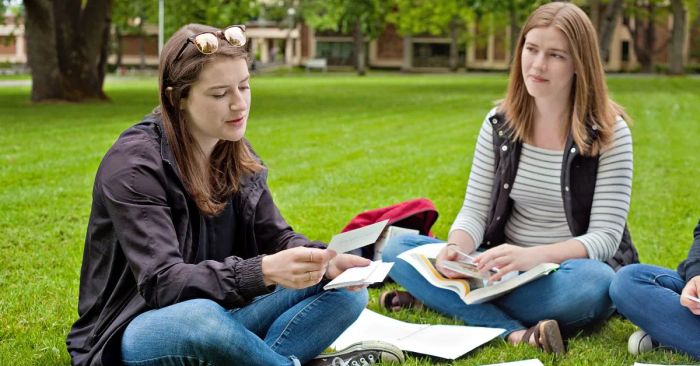 Những dạng flashcard phổ biến hiện nay