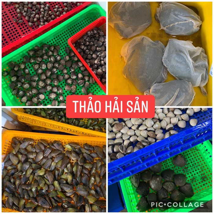 Vựa Hải Sản Thảo - ảnh 1