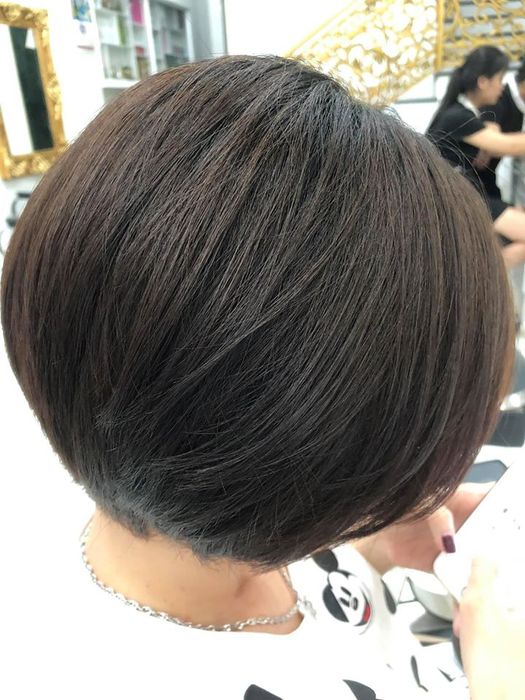Những tác phẩm nghệ thuật tóc tại Salon Hà Lan