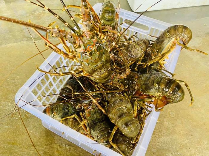 Vựa Hải Sản Quê Hương - ảnh 1