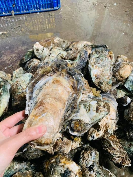 Chợ Hải Sản Tươi Sống Ông Bà Năm - ảnh 2