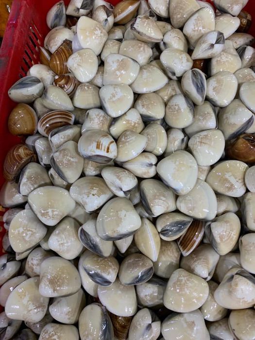 Quán Hải Sản Tươi Sống Hồng Phát - ảnh 1