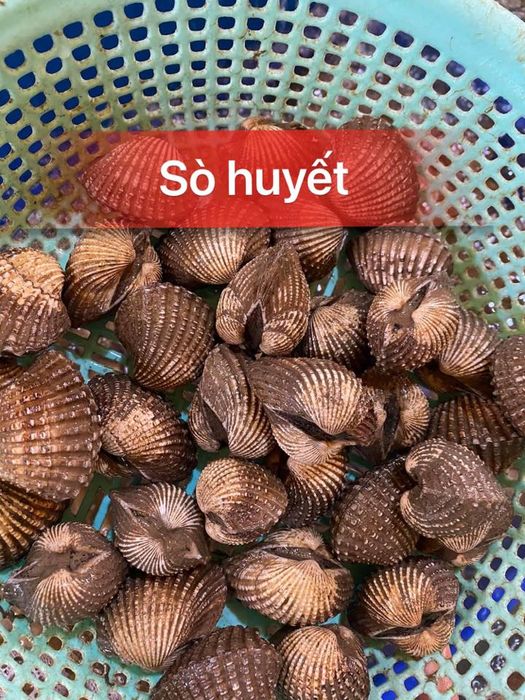 Vựa Hải Sản Tươi Sống Sáu Ốc - ảnh 1
