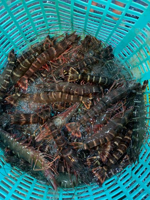 Quán Hải Sản Tươi Sống Hồng Phát - ảnh 2