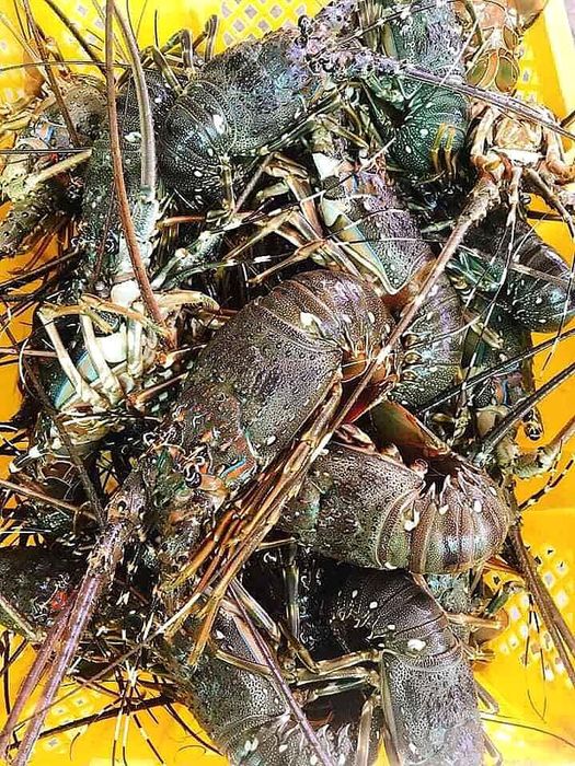 Hải Sản Tươi Sạch Biên Hòa - ảnh 1